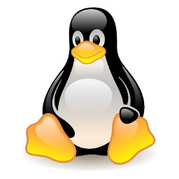 Новый раздел by Linux